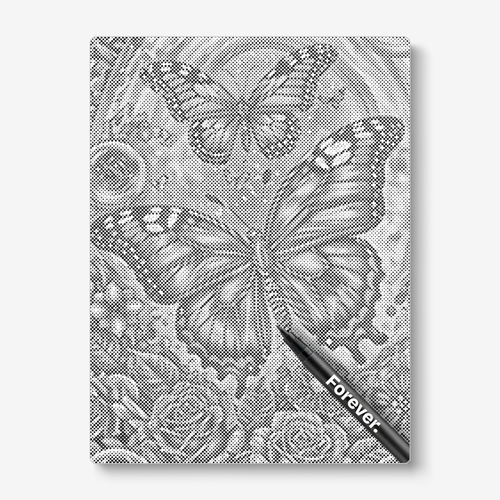 Beautiful Butterflies