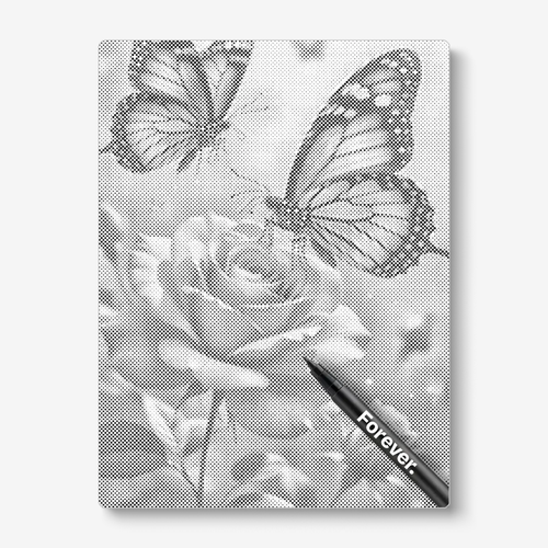 Butterfly with bug rose