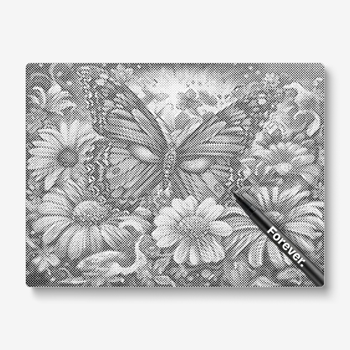 Butterfly with many flowers