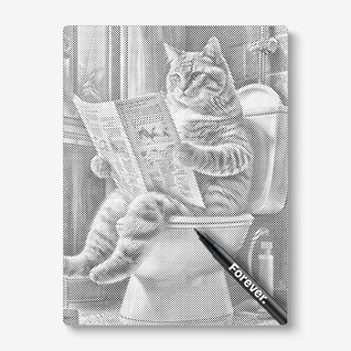 Cat On Toilet 2