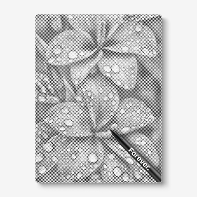 Flower With Water Drops