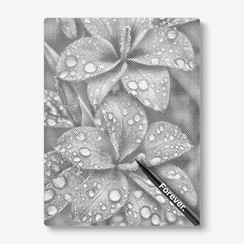 Flower With Water Drops