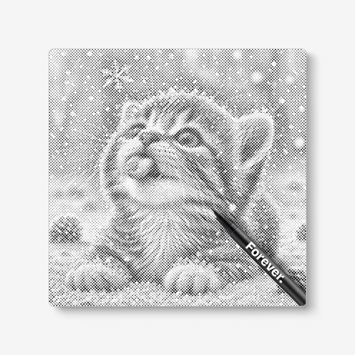 Kitten In The Snow