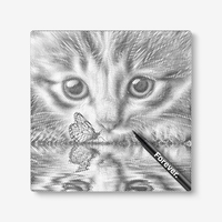 Kitten With Butterfly