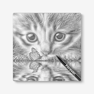 Kitten With Butterfly