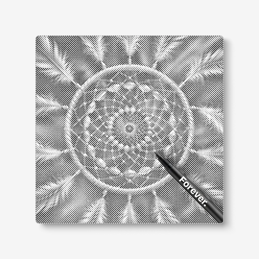 Plumes Dream Catcher