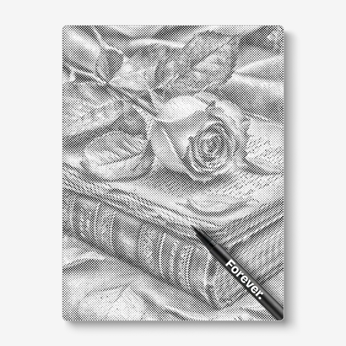 Rose with a book